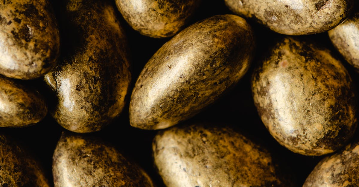 Ceramic Coating: A Smart Investment for Gold Coast Vehicle Owners