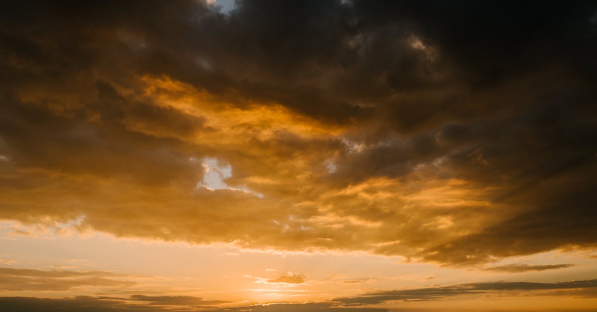 Comparison of Top Brands for Ceramic Coating Maintenance