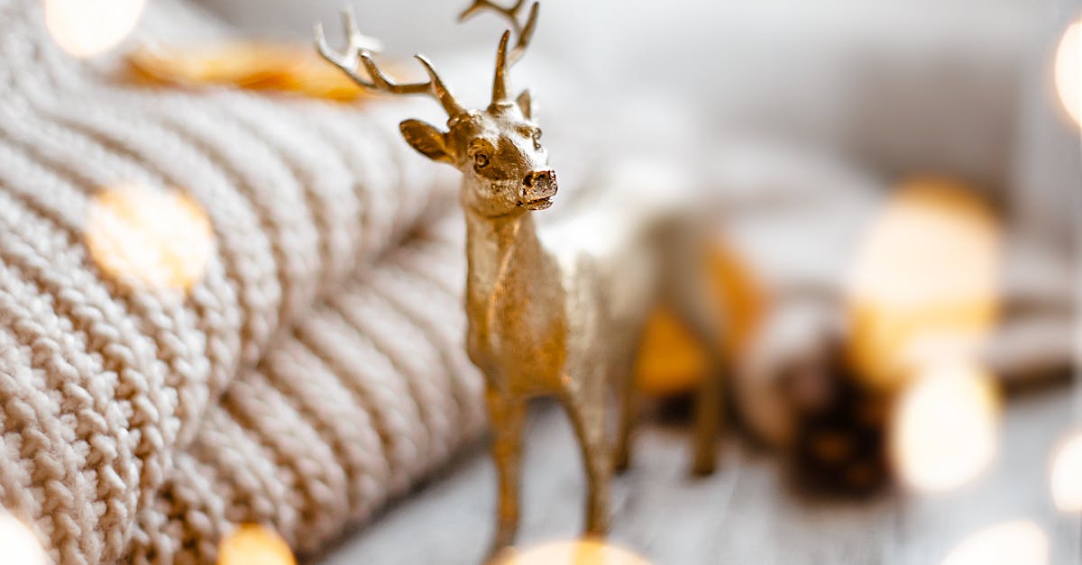 Eco-Friendly Cleaning Solutions for Ceramic Coated Vehicles