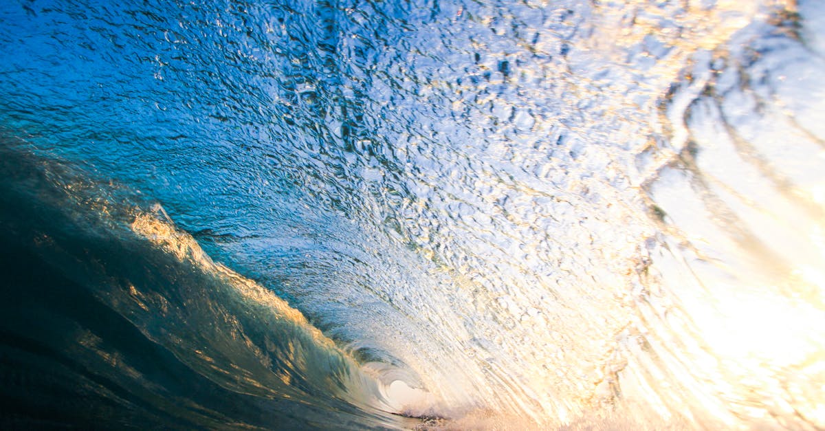 Essential Safety Gear for DIY Ceramic Coating Applications